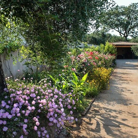 Girasole Villa Limni  Eksteriør bilde